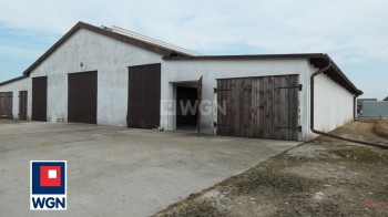 na wynajem Nieruchomość komercyjna Gniew